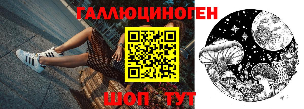 Галлюциногенные грибы мицелий  Вход с VPN  Малоярославец 