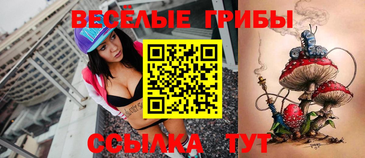 Псилоцибиновые грибы Cubensis Малоярославец