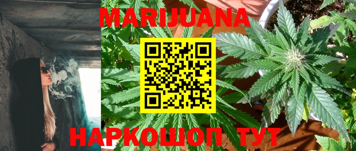 Каннабис план Малоярославец
